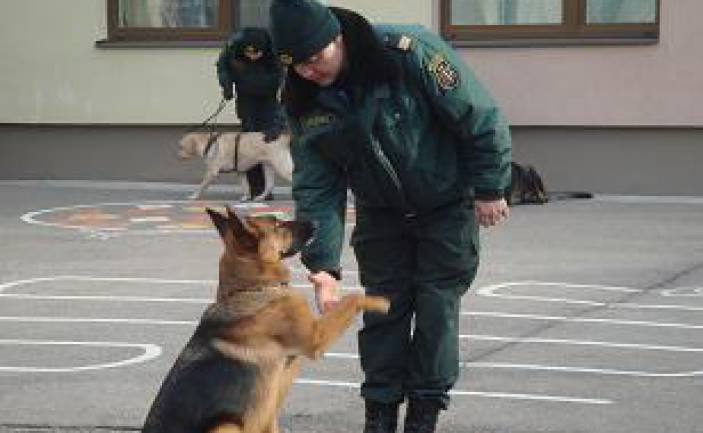 Valsts robežsardzes Daugavpils pārvaldes kinologu paraugdemonstrējumi