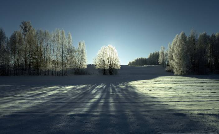 Foto izstāde „Baltie stāsti”