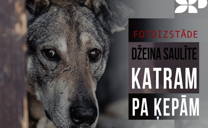 Džeinas Saulītes izstādes 