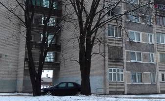 Paziņojums par koku ciršanas ieceri sakarā ar būvprojekta „Miera ielas posmā no Grodņas ielas līdz Smilšu ielai pārbūve, Daugavpilī”  īstenošanu