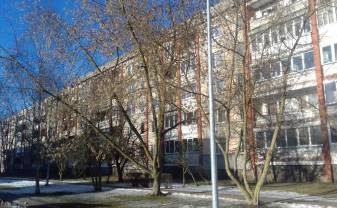 Paziņojums par koku ciršanas ieceri sakarā ar būvprojekta „Auto stāvlaukuma pārbūve Tartu ielā, zemes gabalā ar kadastra Nr. 05000080416, Daugavpilī”, īstenošanu