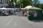 Daugavpilī sāka darboties pilsētas svētku tirdziņš 5