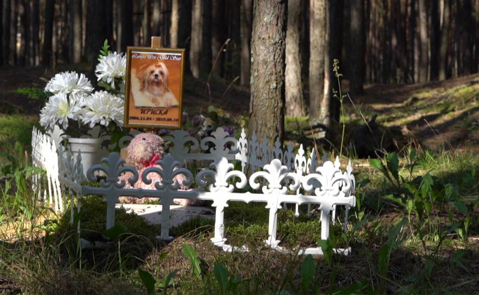 Oficiālu mājdzīvnieku kapsētu iekārtos Jaunās Forštates mežā