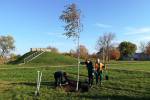 “Meža dienu 2019” ietvaros iestādīti koki Esplanādes parkā 4