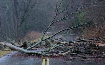 Vējš gāzis kokus vismaz 37 valsts ceļu posmos; bojāti arī luksofori un ceļa zīmes