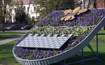 «Ziedošā pilsēta» - Daugavpili sāk rotāt ziedi un vides objekti