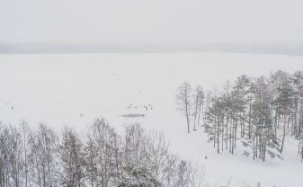 Зимний спорт в Covid-19 – чемпионаты по подледной рыбалке и бегу на лыжах
