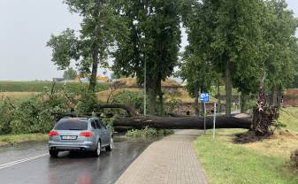 Negaisa laikā Daugavpilī nolūzuši 30 koki