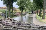Во время грозы в Даугавпилсе повалилось 30 деревьев 4