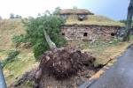 Во время грозы в Даугавпилсе повалилось 30 деревьев 3