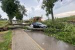 Во время грозы в Даугавпилсе повалилось 30 деревьев 2