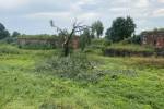 Во время грозы в Даугавпилсе повалилось 30 деревьев 1
