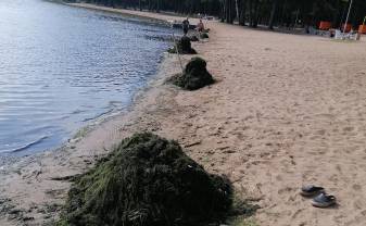 Attīrītas Stropu ezera peldvietas