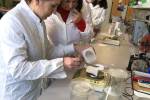 STEM Teachers Acquire Practical Skills in Person 1