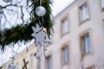 Daugavpils gatavojas “Ziedošajiem Ziemassvētkiem” 17