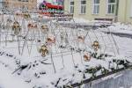 Daugavpils gatavojas “Ziedošajiem Ziemassvētkiem” 15