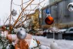 Daugavpils gatavojas “Ziedošajiem Ziemassvētkiem” 11