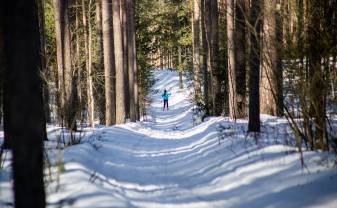Daugavpilī noskaidroti Latvijas čempioni vidējā distancē un stafetē OS ar slēpēm