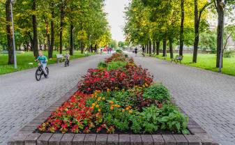 Самоуправление планирует провести конкурсы эскизов на реконструкцию Стропской эстрады и Центрального парка