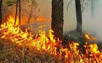 2.maijā sākās meža ugunsnedrošais periods