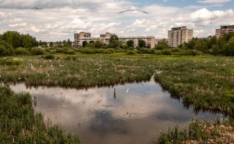 THE MUNICIPALITIES OF DAUGAVPILS AND ANYKŠČIAI INVITE  TO FIND OUT THE NATURE VALUES FOUND IN URBAN WETLANDS