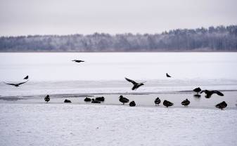 ЗАПРЕЩЕНО ВЫХОДИТЬ НА ЛЕД ДАУГАВПИЛССКИХ ВОДОЕМОВ