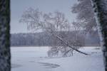 Daugavpils aicina baudīt brīnumainu Ziemassvētku noskaņojumu 36