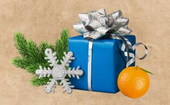 Молодежная организация Апельсин начинает традиционную рождественскую акцию по сбору подарков в пансионаты