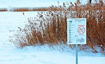 Вблизи водоемов Даугавпилса установлены таблички с рекомендациями по правильному кормлению птиц