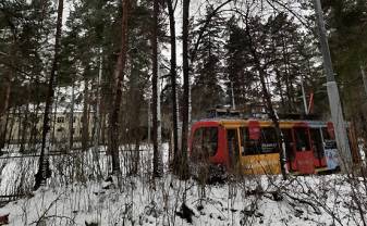 Paziņojums par publiskās apspriešanas rīkošanu sakarā ar koku ciršanu būvprojekta “Auto stāvlaukuma izbūve Dzintaru ielā 2A un Dzintaru ielā 2B Paziņojums par publiskās apspriešanas rīkošanu sakarā ar koku ciršanu būvprojekta “Auto stāvlaukuma izbūve Dzintaru ielā 2A un Dzintaru ielā 2B
