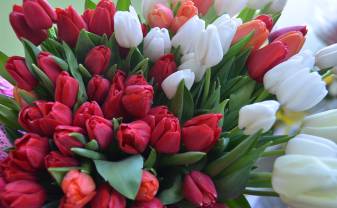 Ielu tirdzniecības kārtība ar ziediem 8. marta svētkos