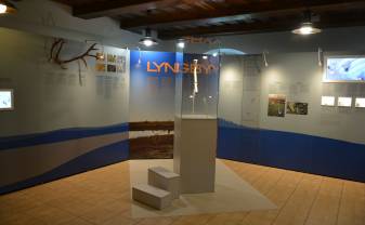Lietuvas Nacionālā muzeja izstāde “Lingbi cirvis: 13 000 gadu garantija”