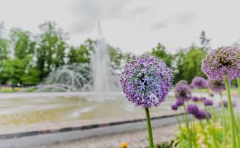 DAUGAVPILS TŪRISMA UN ATPŪTAS OBJEKTU DARBA LAIKS JŪNIJA BRĪVDIENĀS DAUGAVPILS TŪRISMA UN ATPŪTAS OBJEKTU DARBA LAIKS JŪNIJA BRĪVDIENĀS