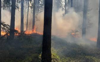 Valsts meža dienests brīdina: mežos palielinās ugunsbīstamība Valsts meža dienests brīdina: mežos palielinās ugunsbīstamība