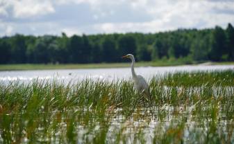 Daugavpils peldvietās ūdens kvalitāte atbilst prasībām