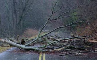 Autovadītāju ievērībai: par vējā kritušajiem kokiem un ceļu izskalojumiem aicinām ziņot uz 80005555