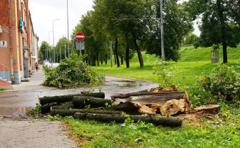 Augusta vētru iznīcinātos apstādījumus sāks atjaunot nākamgad