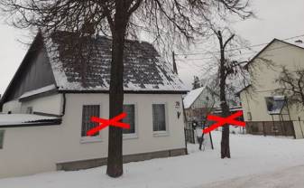 Paziņojums par publisko apspriešanu par koku ciršanu Brīvības ielas posmā Paziņojums par publisko apspriešanu par koku ciršanu Brīvības ielas posmā