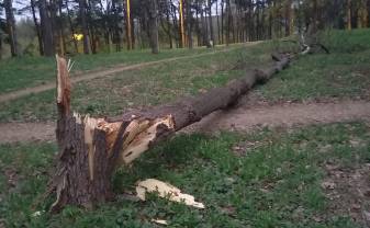 Vētras postījumi Daugavpilī nav kritiski