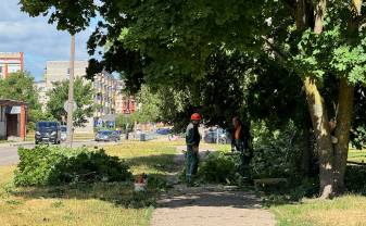 Daugavpilī turpinās vētras seku likvidēšana Daugavpilī turpinās vētras seku likvidēšana