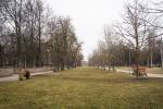 Līdz 20. aprīlim uzņēmējus aicina iesniegt idejas Soliņu alejas papildināšanai Centrālajā parkā 13
