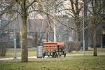 Līdz 20. aprīlim uzņēmējus aicina iesniegt idejas Soliņu alejas papildināšanai Centrālajā parkā 6