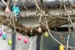 Daugavpils ietērpusies pavasarīgā Lieldienu rotā 22