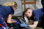 Daugavpilī jau septīto reizi meistarībā sacentās medicīnas studenti 24