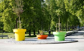 Daugavpils saplaukst vasaras ziedos
