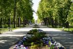 Daugavpils uzplaukst vasaras ziedos 4