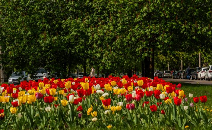 Daugavpils komunālie dienesti gatavojas pilsētas svētkiem