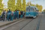 SIA “Daugavpils satiksme” atskatās uz Daugavpils pilsētas svētkiem 7