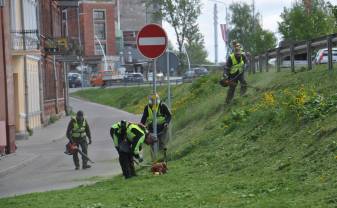Daugavpils Komunālās saimniecības pārvalde informē par plānotajiem pļaušanas darbiem jūlijā