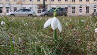 Участвовать в праздничной программе к 8 марта приглашают всех горожан  (VIDEO)